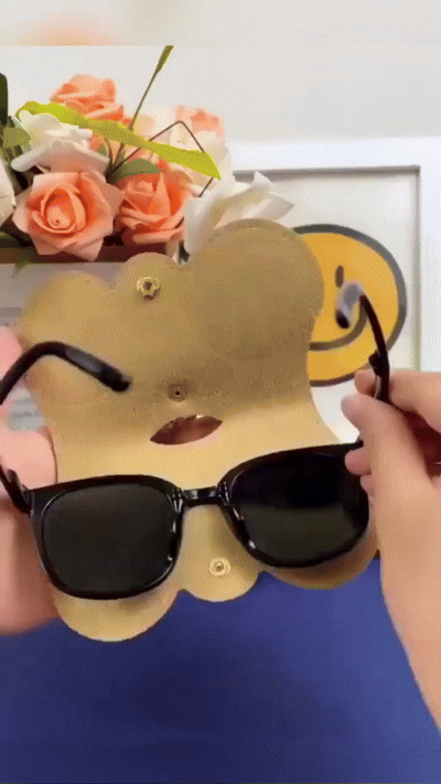 LuxeLoop™ Stylish Eyewear Case
